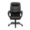 Emma and Oliver High Back LeatherSoft Executive Swivel Ergonomic Office Chair with Arms